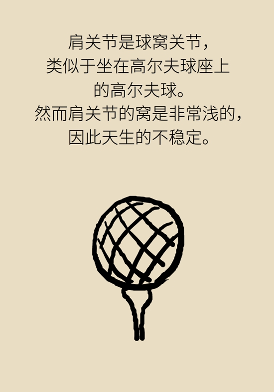 健身房里最常发生的肩痛，该怎么应对？26 / 作者:UFO爱好者 / 帖子ID:72764