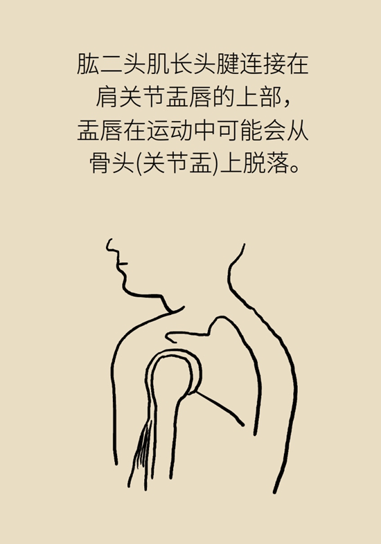 健身房里最常发生的肩痛，该怎么应对？948 / 作者:UFO爱好者 / 帖子ID:72764