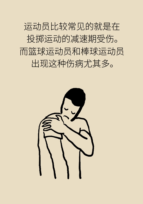 健身房里最常发生的肩痛，该怎么应对？977 / 作者:UFO爱好者 / 帖子ID:72764