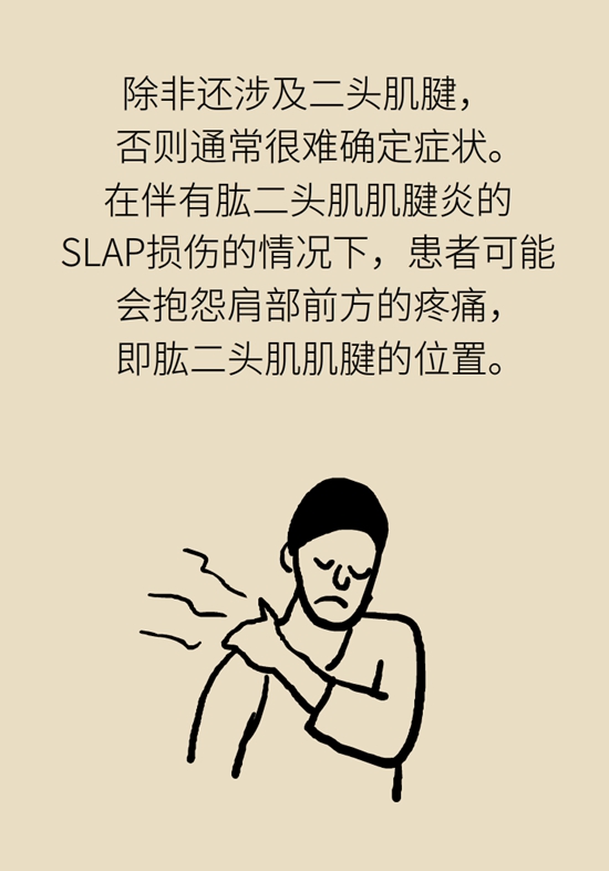 健身房里最常发生的肩痛，该怎么应对？431 / 作者:UFO爱好者 / 帖子ID:72764
