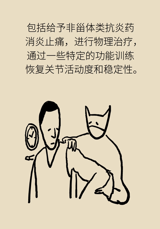 健身房里最常发生的肩痛，该怎么应对？314 / 作者:UFO爱好者 / 帖子ID:72764