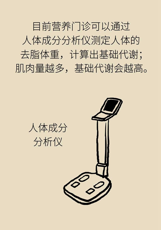长胖是因为代谢变慢了？代谢表示不背这个锅923 / 作者:UFO爱好者 / 帖子ID:72769