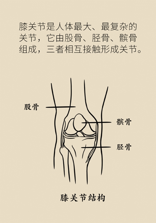 只需30分钟！运动专家教你2个妙招保护膝盖健康744 / 作者:UFO爱好者 / 帖子ID:72933