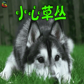 蜱虫咬后有什么症状？蜱虫个人防护与处理？如何不被蜱虫叮咬185 / 作者:UFO爱好者 / 帖子ID:69085