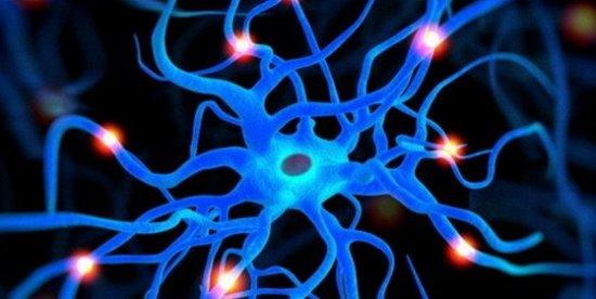 生物学史上九大首创发现78 / 作者:UFO爱好者 / 帖子ID:86041