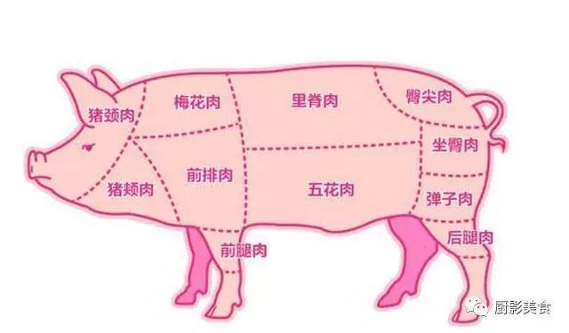 猪肉各部位吃法详解 猪身体不同部位的猪肉怎么做好吃738 / 作者:UFO爱好者 / 帖子ID:70232 猪肉各部位吃法详解 猪身体不同部位的猪肉怎么做好吃738 / 作者:UFO爱好者 / 帖子ID:70232