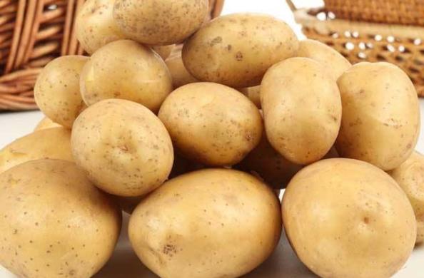 土豆的营养价值及功效与作用 土豆发芽变绿、切开的土豆变黑能吃吗775 / 作者:UFO爱好者 / 帖子ID:70436