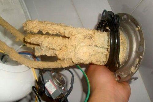 土豆发芽就不能吃了得扔掉？四种巧用发芽土豆的实用小妙招847 / 作者:UFO爱好者 / 帖子ID:67959