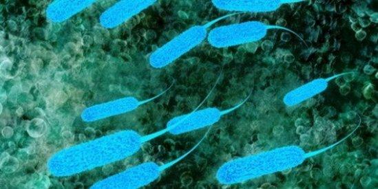 生物学史上九大首创发现749 / 作者:UFO爱好者 / 帖子ID:86041