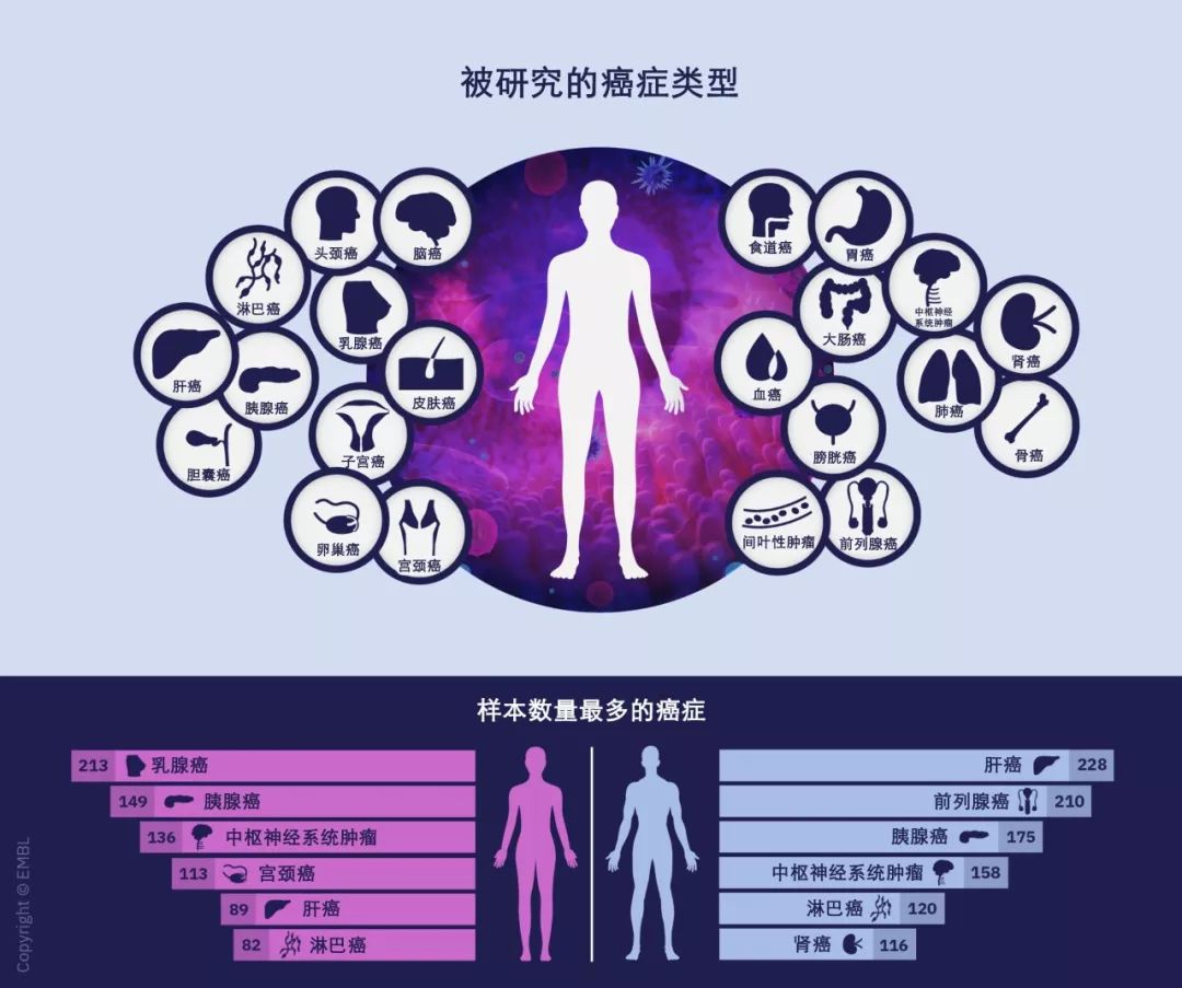 全基因组泛癌症分析：揭开未知的99%482 / 作者:UFO爱好者 / 帖子ID:82328