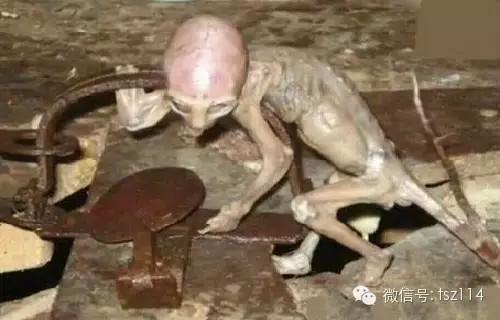 背脊发凉！27个著名的世界之谜764 / 作者:UFO爱好者 / 帖子ID:83764