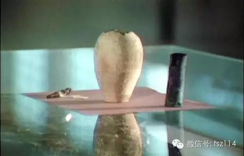 毛骨悚然的83个未解之谜 哪个最灵异？903 / 作者:UFO爱好者 / 帖子ID:82164