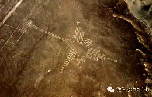 毛骨悚然的83个未解之谜 哪个最灵异？552 / 作者:UFO爱好者 / 帖子ID:82164