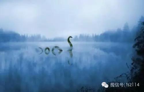 毛骨悚然的83个未解之谜 哪个最灵异？935 / 作者:UFO爱好者 / 帖子ID:82164