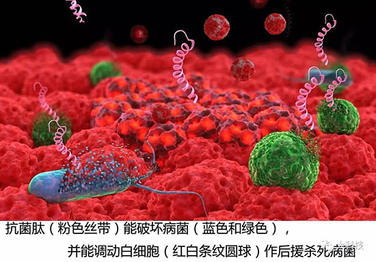 抗生素失效之后人类怎么办？671 / 作者:UFO爱好者 / 帖子ID:71977