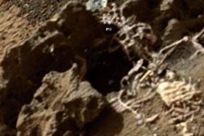火星最新照片发现：上面有外星人骨骸