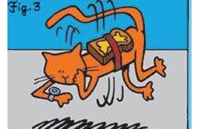 黄油猫悖论实验是真的吗