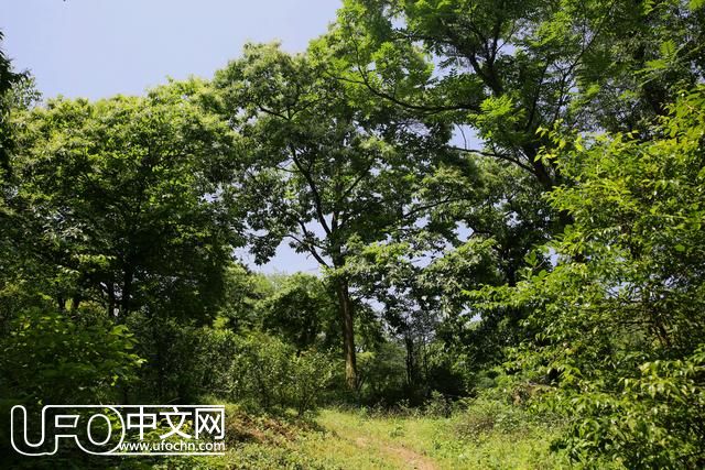 上饶新田岩山卜：“飞碟”湖畔，打开故乡的情感密码783 / 作者: / 来源: