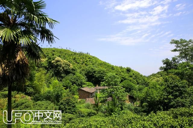 上饶新田岩山卜：“飞碟”湖畔，打开故乡的情感密码977 / 作者: / 来源: