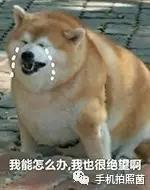 可以穿越时空？教你如何用手机将照片做成仿古效果！960 / 作者: / 来源: