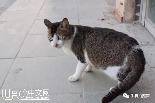可以穿越时空？教你如何用手机将照片做成仿古效果！460 / 作者: / 来源: