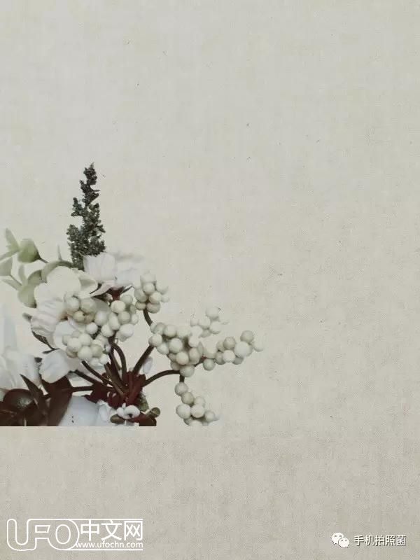 可以穿越时空？教你如何用手机将照片做成仿古效果！96 / 作者: / 来源: