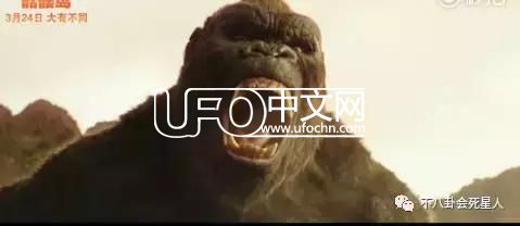 超级金刚捍卫“百慕大”，死亡三角地底真有另一个世界？231 / 作者: / 来源: