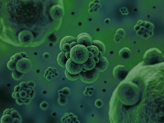 俄宇航员在国际空间站外壳上发现外星微生物，来源成谜326 / 作者: / 来源: