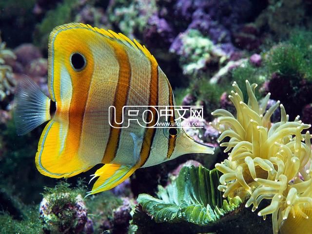 谈谈时髦的贬义词“民科”836 / 作者: / 来源: