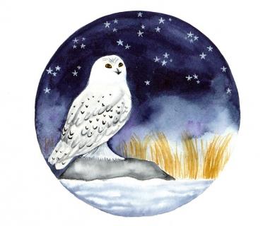 璀璨的星空259 / 作者: / 来源: