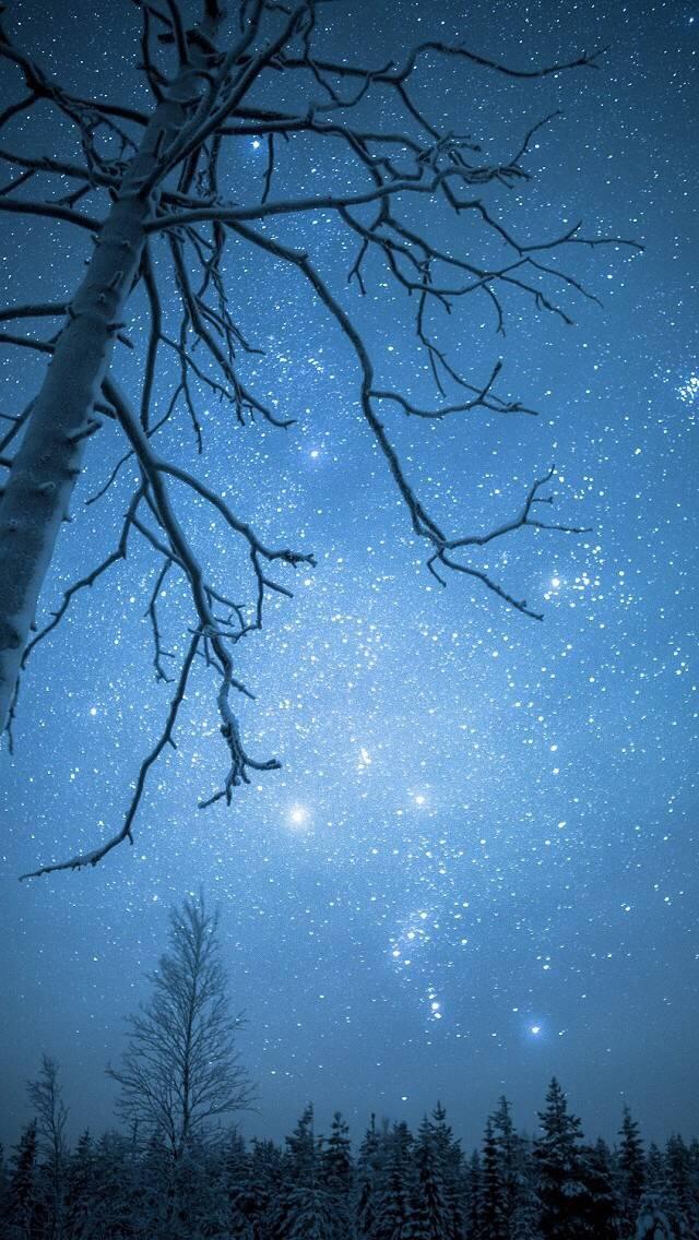 唯美的星空壁纸224 / 作者: / 来源: