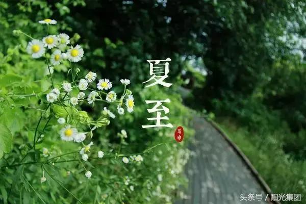 邯郸人注意！暴雨来了，记住这些，关键时刻能保命！980 / 作者: / 来源: