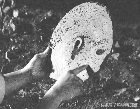 神秘的石碟，到底是不是外星文明的产物呢983 / 作者: / 来源: