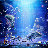 31_avatar_small