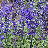 94_avatar_small