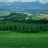 54_avatar_small