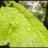 22_avatar_small