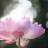 27_avatar_small