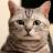 58_avatar_small