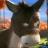 24_avatar_small