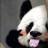 53_avatar_small